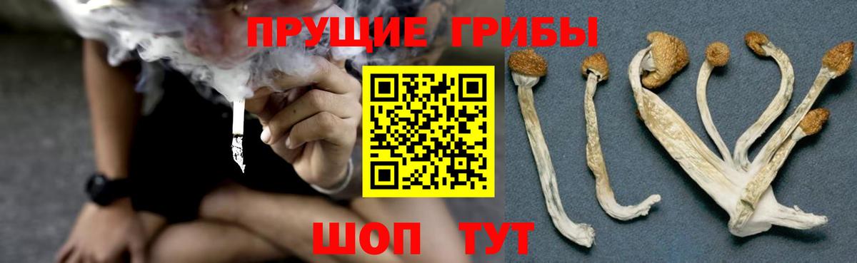 Галлюциногенные грибы MAGIC MUSHROOMS Нефтеюганск